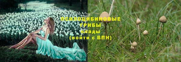 прущая мука Снежинск