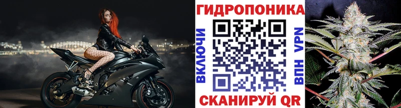 купить наркотик  гидра рабочий сайт  Марихуана AK-47  Трубчевск 